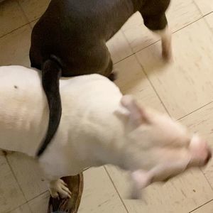 Meet your Posher, Ryheim